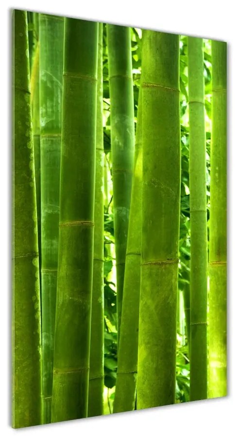 Vertikálny foto obraz akrylové sklo Bambus oav-17587007