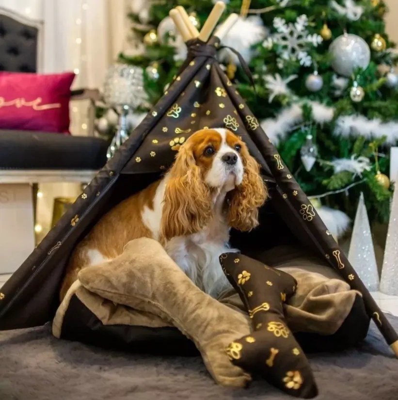 Golden Dog TeePee stan Golden dog 87 x 87 x 118 cm - L zlaté labky