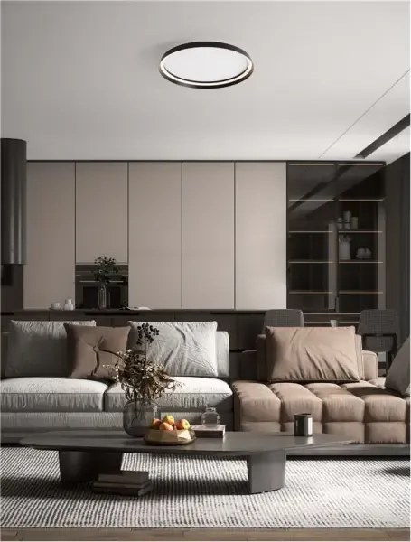 LED stmievateľné čierne moderné stropné svietidlo Ormi 60