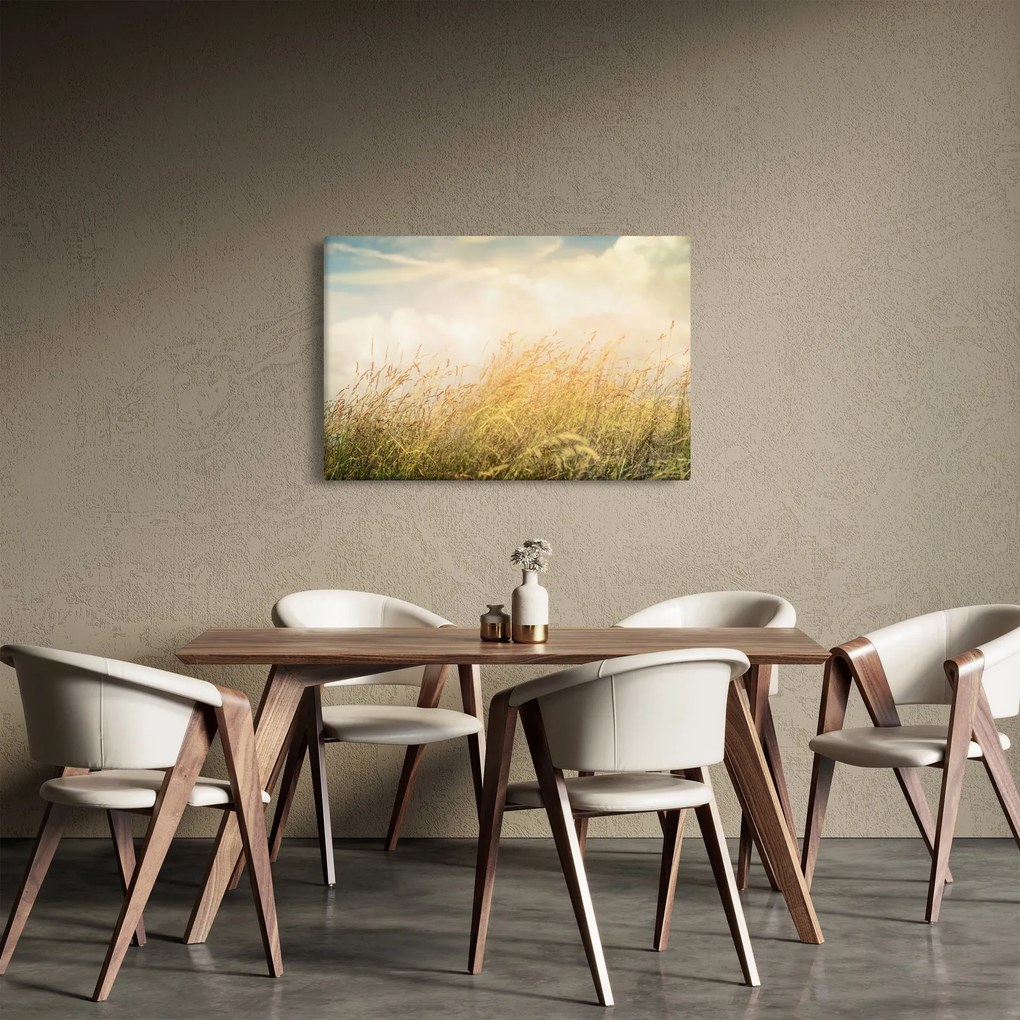 Obraz - Pole na jeseň (90x60 cm)