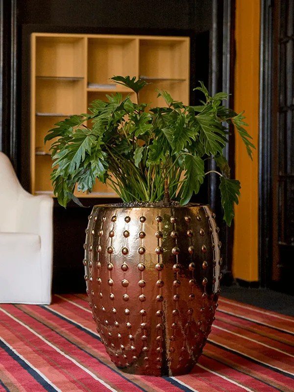 Laos Emperor Gold  64x80 cm