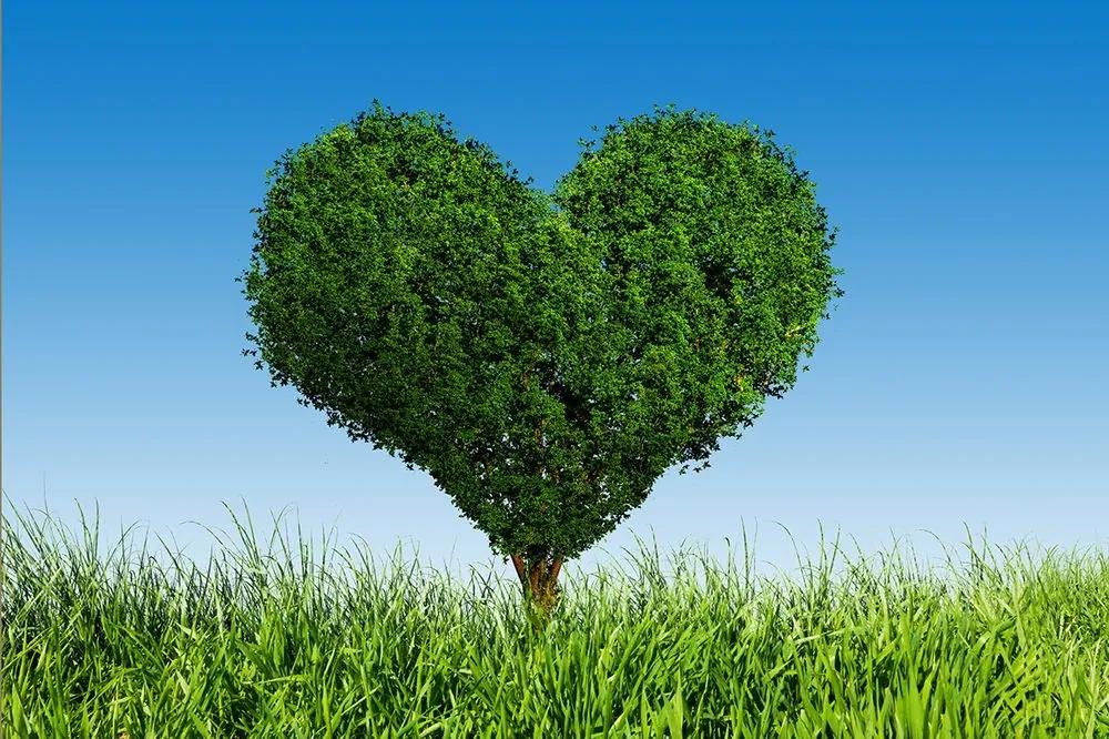 Samolepiaca tapeta strom v tvare srdca - 225x150