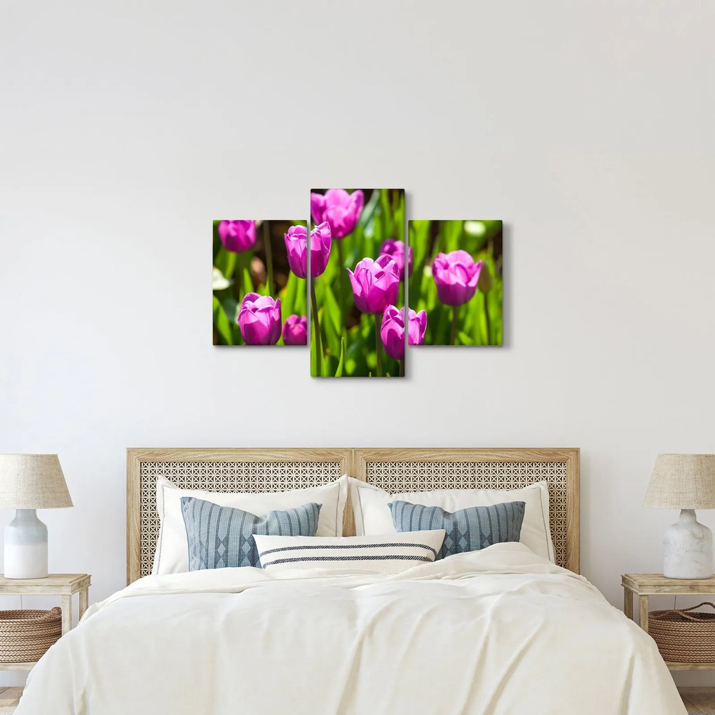 Obraz tulipánov na lúke (90x60 cm)