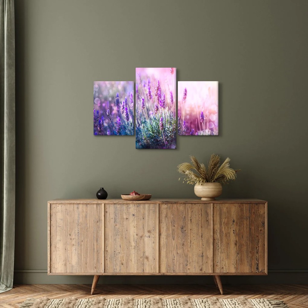 Obraz - Levanduľa vo trblietania slnka (90x60 cm)