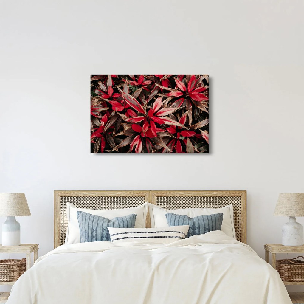 Obraz červených okvetných lístkov (90x60 cm)
