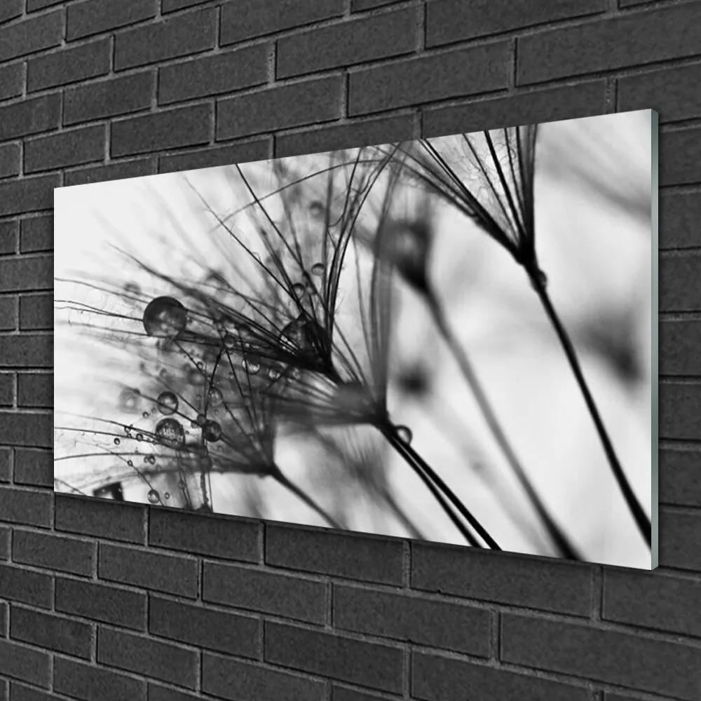 Obraz na skle Abstrakcie rastlina 120x60 cm