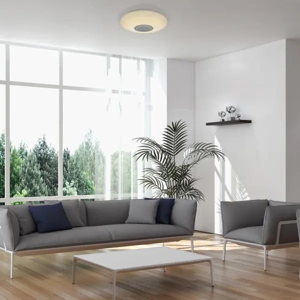 Rabalux 3509 - LED RGB Stmievateľné stropné svietidlo RODION LED/24W/230V + diaľkový ovládač