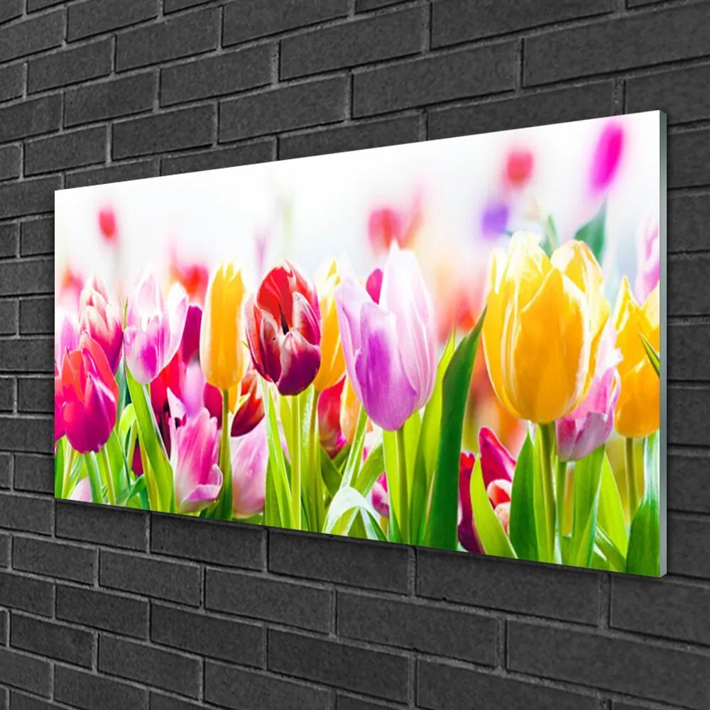 Obraz na skle Tulipány kvety 100x50 cm