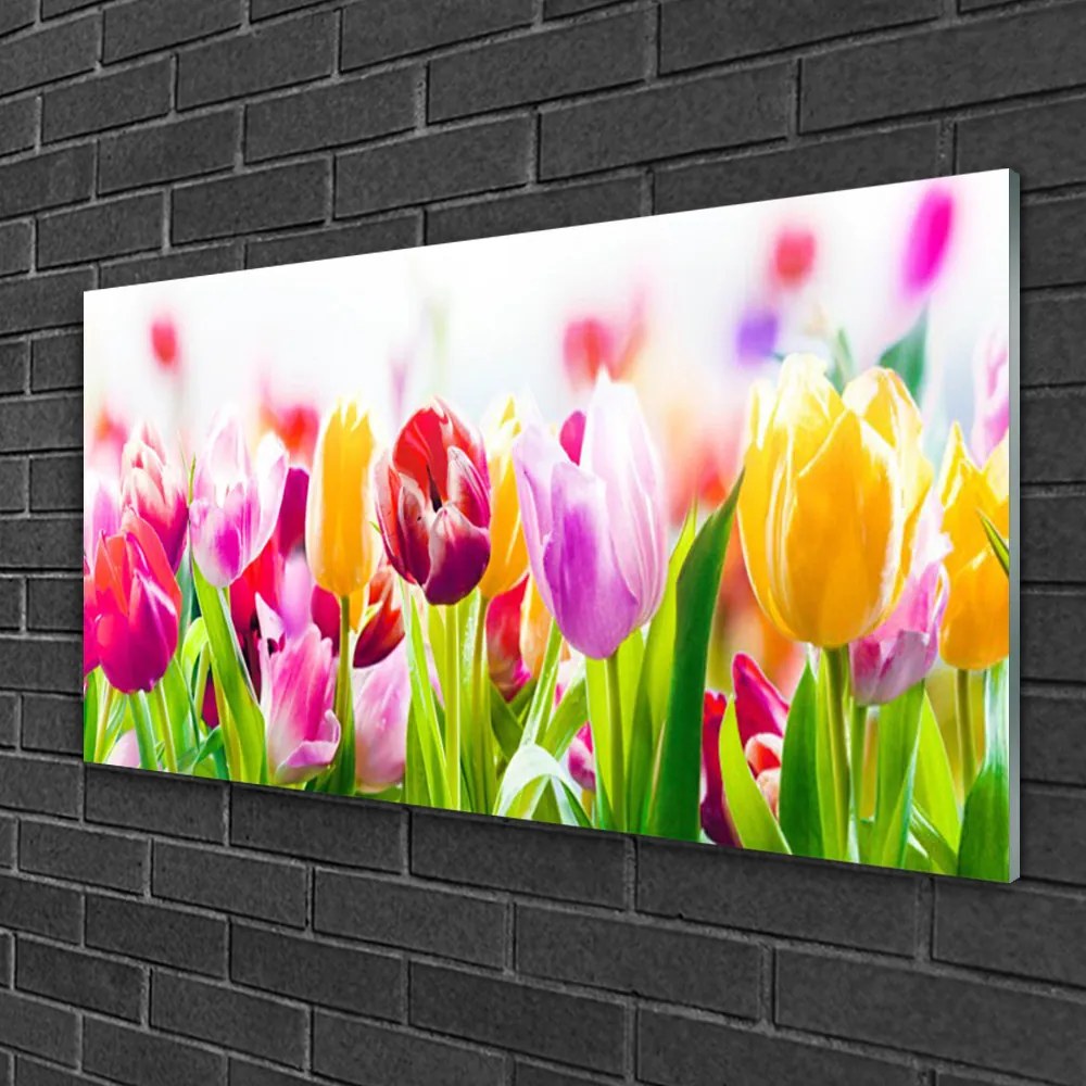 Obraz na skle Tulipány kvety 140x70 cm
