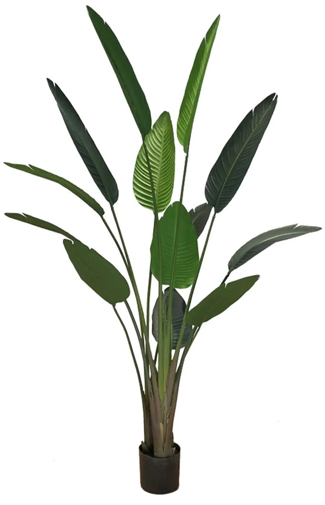 Artificial pot plant Strelicja 190cm