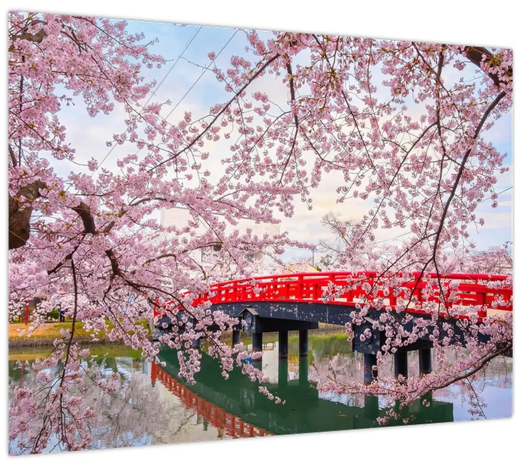 Sklenený obraz - Hirosaki, Japonsko (70x50 cm)