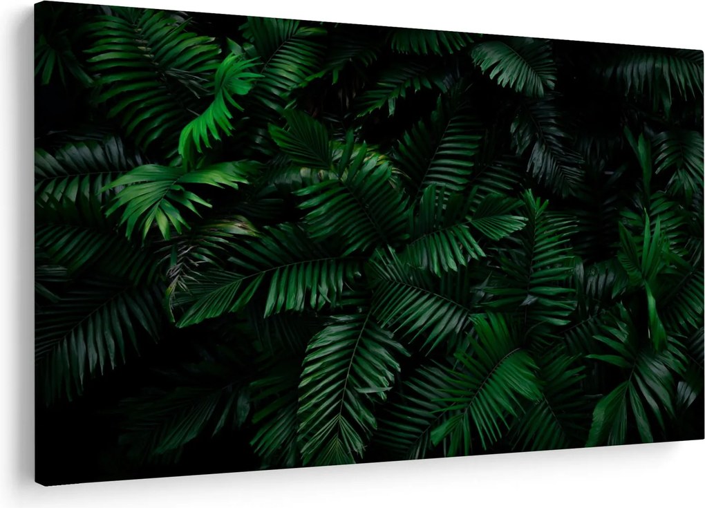 Obraz - Tropické papradie (90x60 cm)