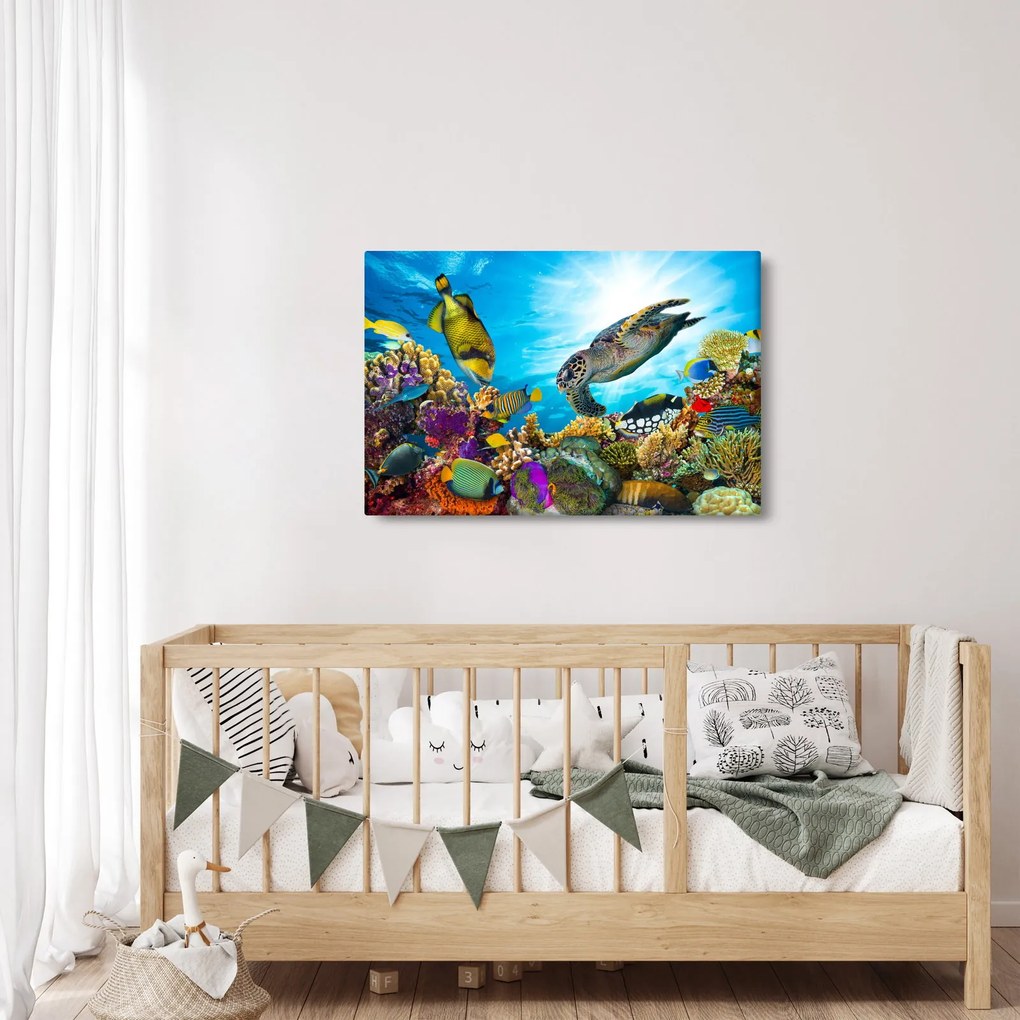 Obraz koralového útesu (90x60 cm)