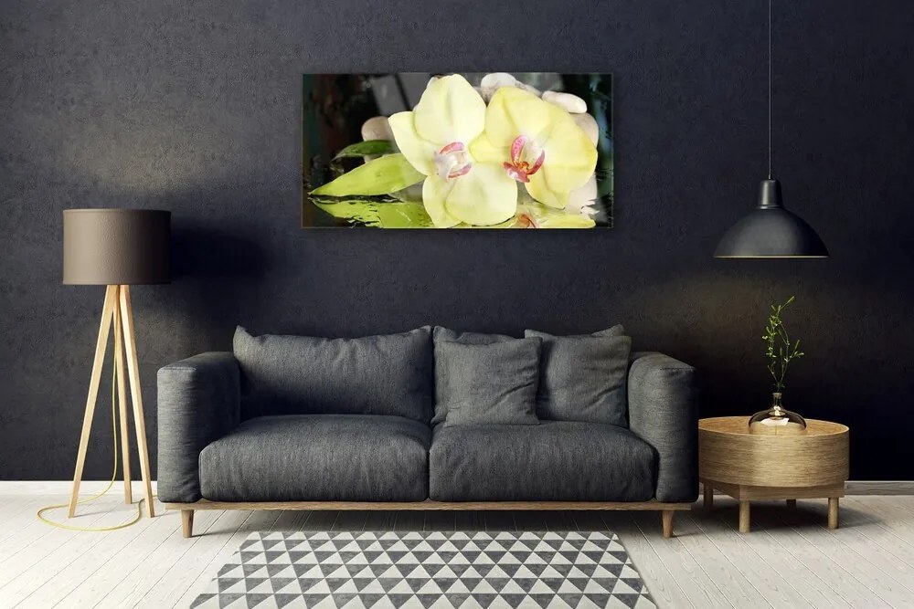 Skleneny obraz Okvetné plátky orchidea 120x60 cm