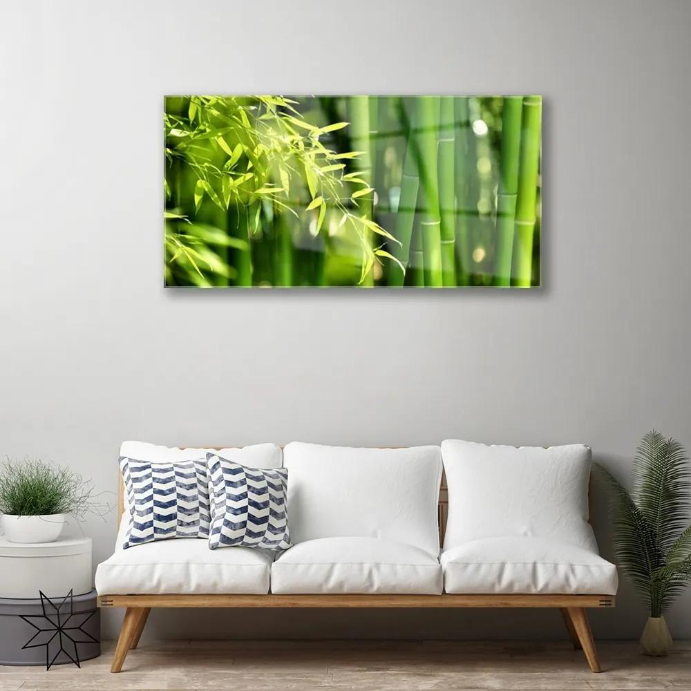 Skleneny obraz Bambus listy rastlina 100x50 cm