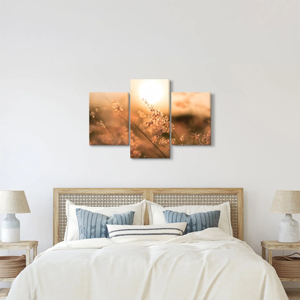 Obraz - Tráva na slnku (90x60 cm)