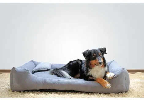 Bestent Pelech pre psa 130x100cm Grey Honey XXL