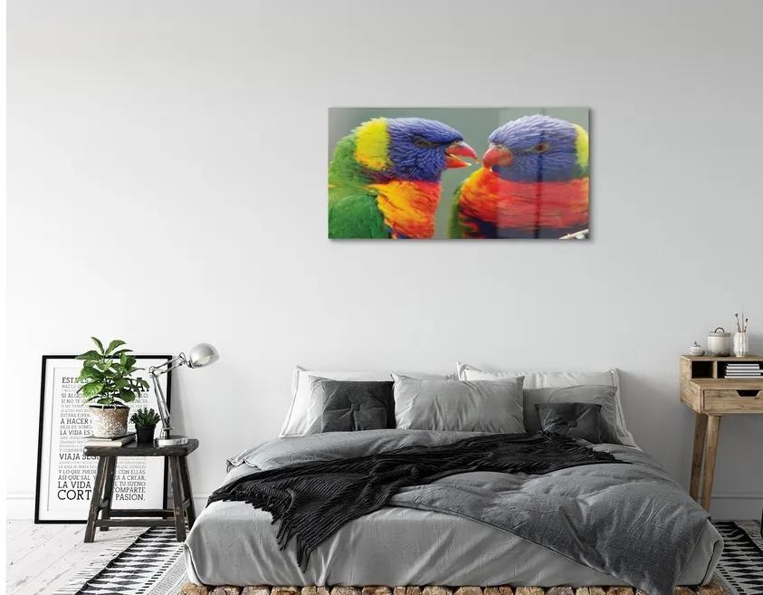 Sklenený obraz farebný papagáj 140x70 cm