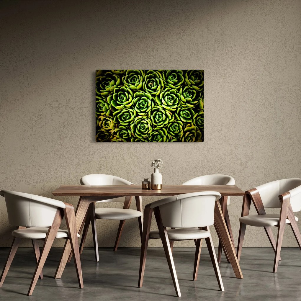Obraz skalníc (90x60 cm)