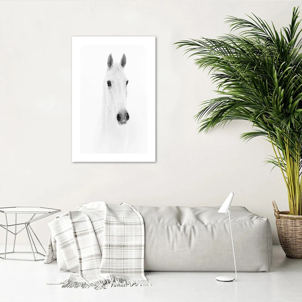 Gario Plagát Sivý kôň Farba rámu: Bez rámu, Rozmery: 70 x 100 cm