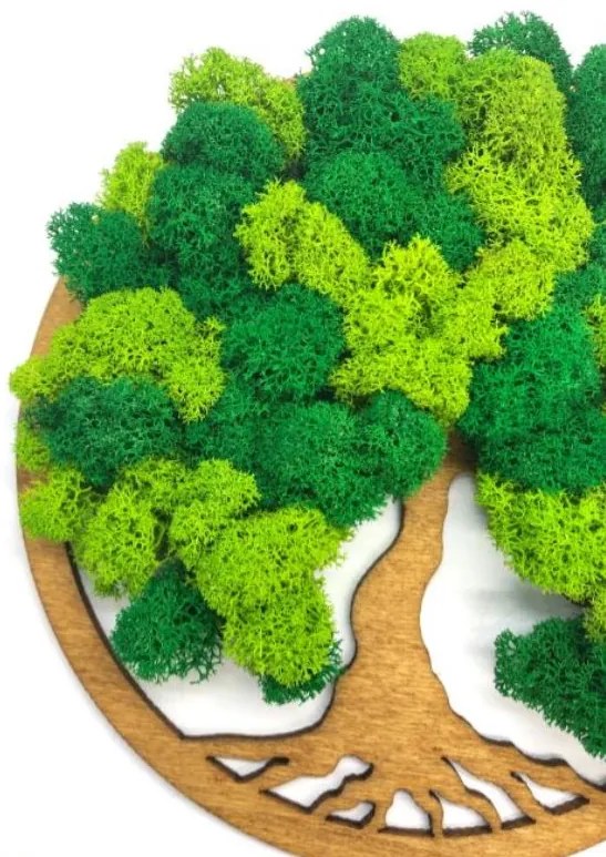 Strom na stenu z machu Eurydice 20 cm