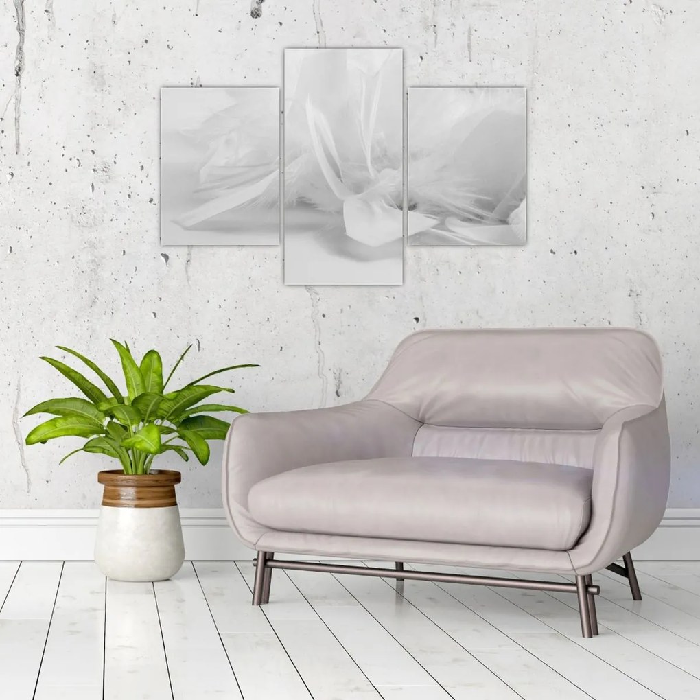 Obraz - Perie (90x60 cm)