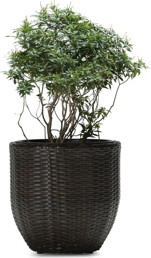 Kvetináč LILY hnedá