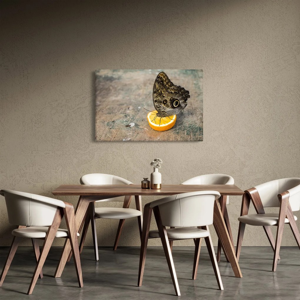 Obraz motýľa (90x60 cm)