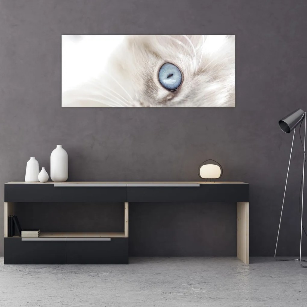 Obraz - Mačka s modrými očami (120x50 cm)