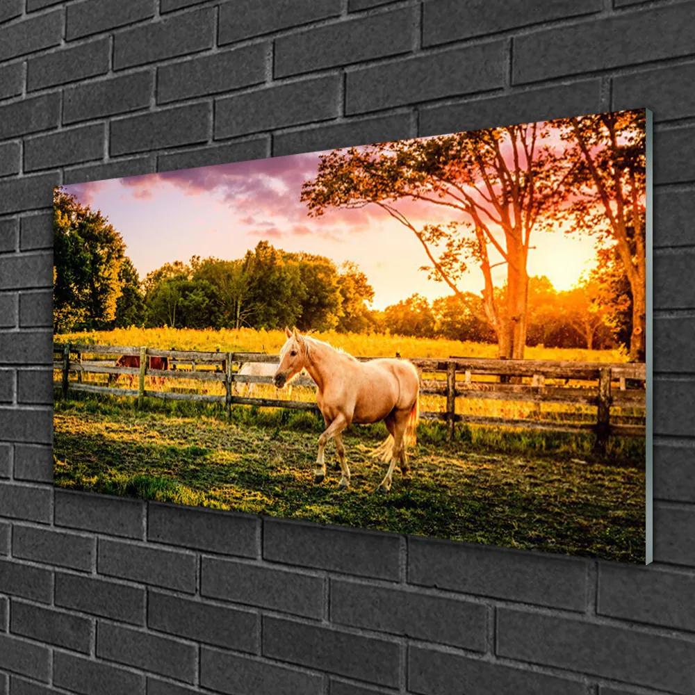 Obraz na skle Kôň lúka zvieratá 100x50 cm