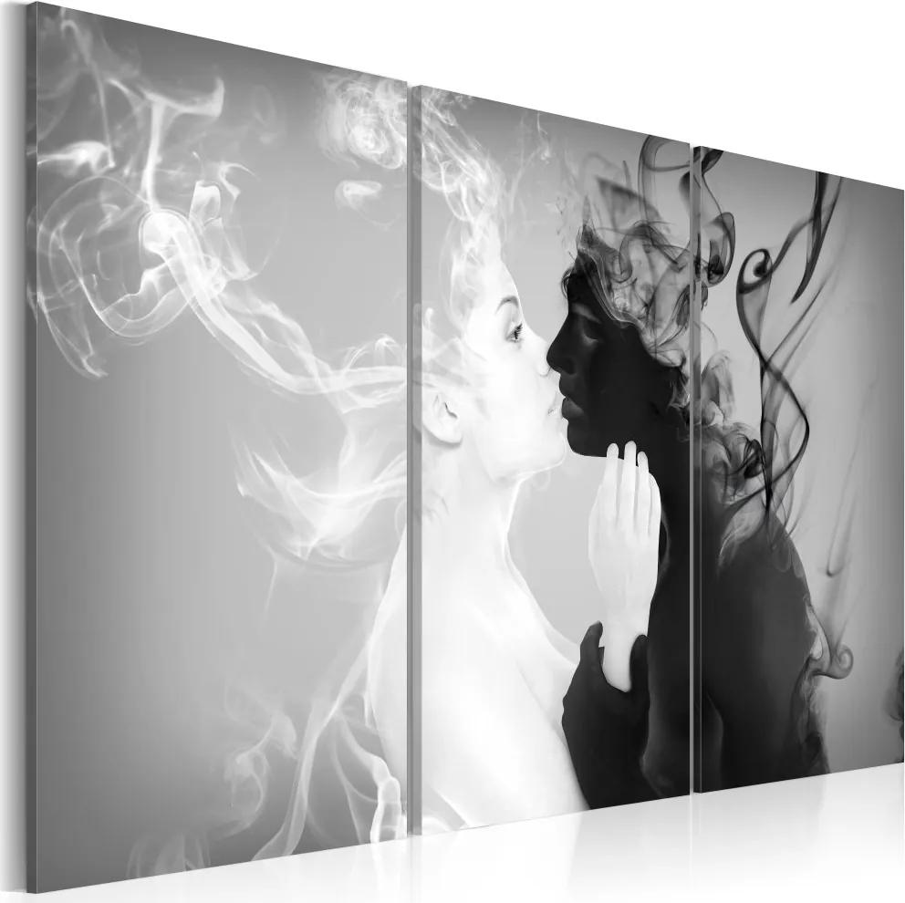 Obraz na plátne Bimago - Smoky kiss 60x40 cm