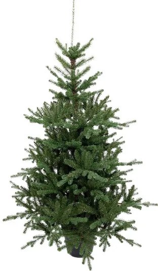 Umelý vianočný stromček v kvetináči 3D Smrek Tirolský 150cm