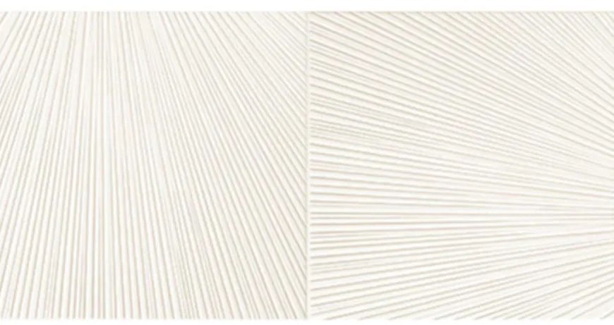 Dekor Bafia White 2 30,8/60,8