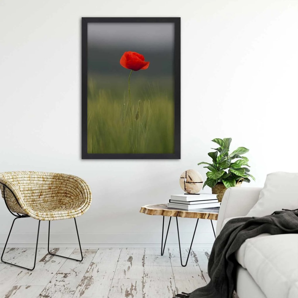 Gario Plagát Mak na poli Farba rámu: Bez rámu, Rozmery: 40 x 60 cm