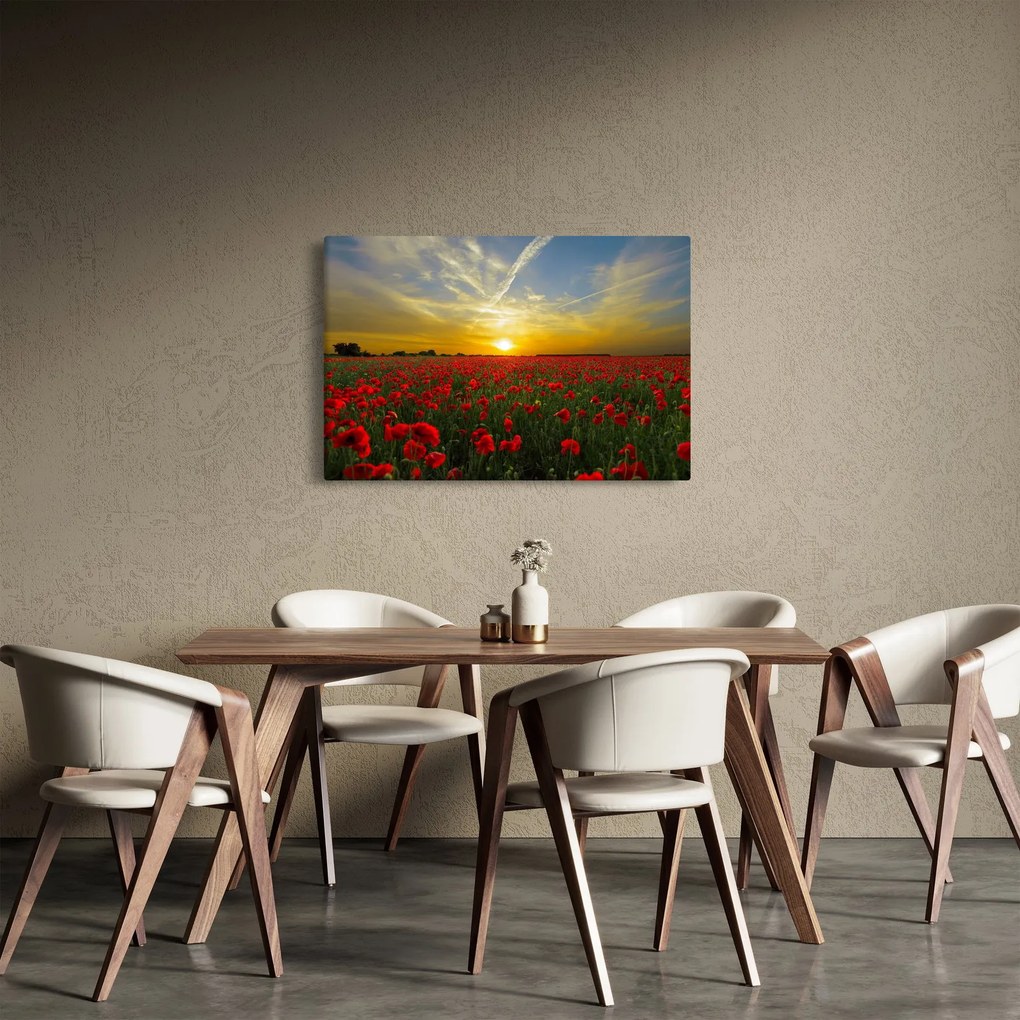 braz poľa vlčích makov (90x60 cm)