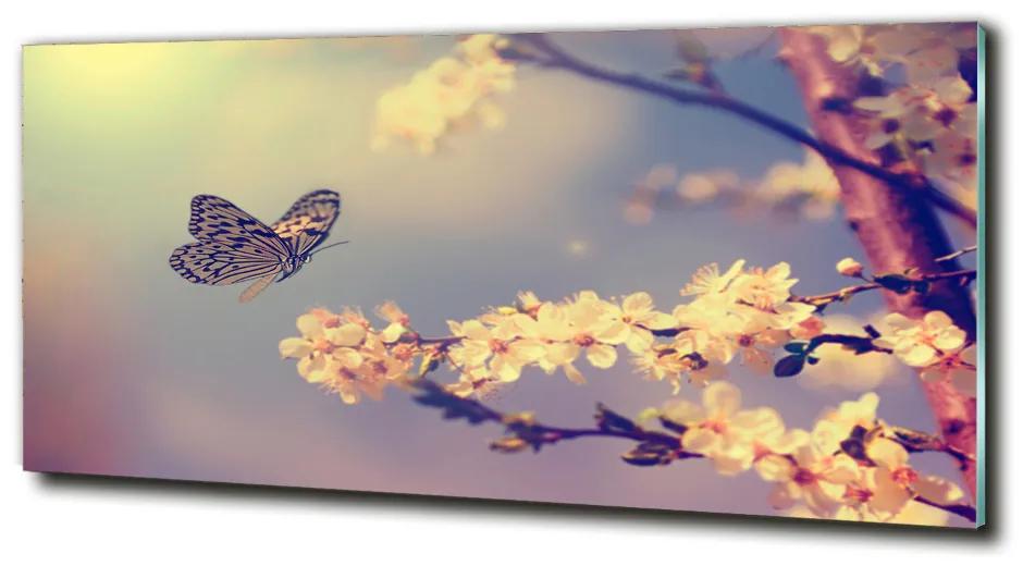 Foto-obraz fotografie na skle Kvet Visty a motýľ cz-obglass-125x50-72331211