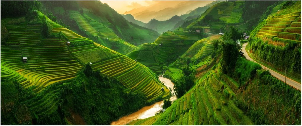 Obraz - Ryžové terasy Mu Cang Chai (120x50 cm)