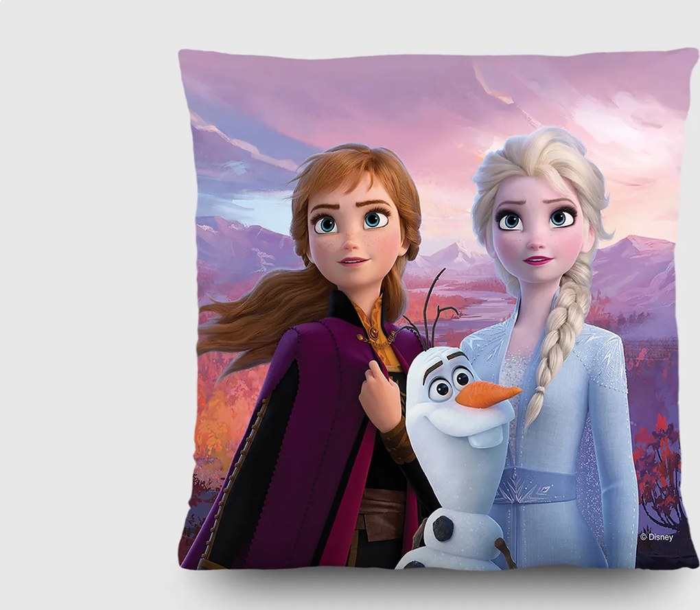 Detský vankúšik FROZEN 2 40x40 cm
