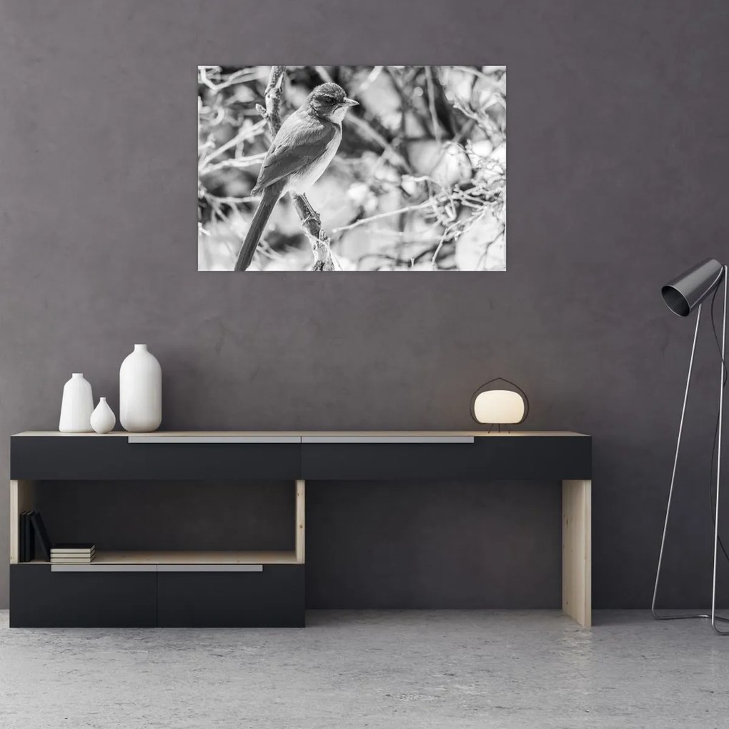 Obraz - Modrý vták v zime (90x60 cm)