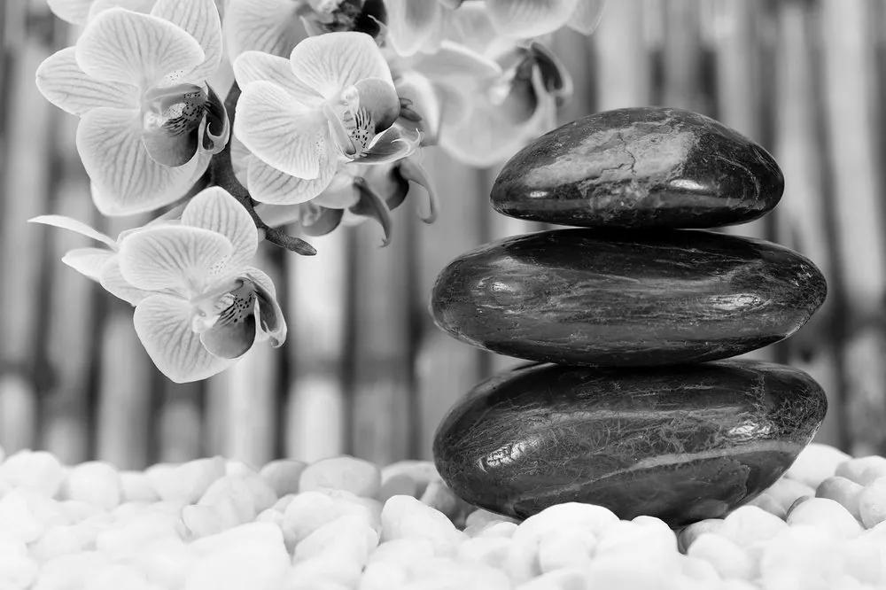 Samolepiaca fototapeta japonská čiernobiela Zen záhrada - 450x300