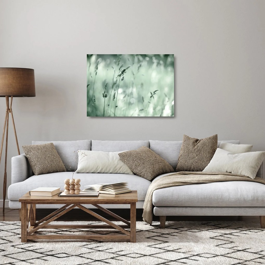 Sklenený obraz - Zelená lúka (70x50 cm)