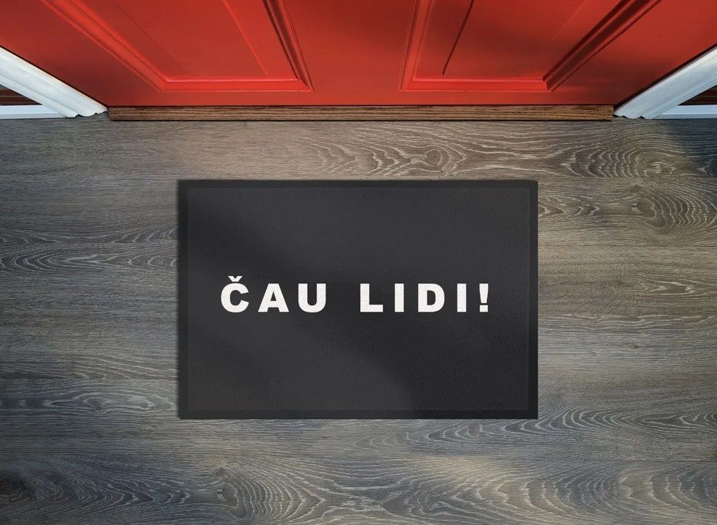 GDmats, Rohožka Čau lidi 40x60 cm – na von aj na doma, 40x60, šedá