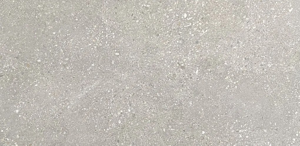 Dlažba Neptun Grey 30x60