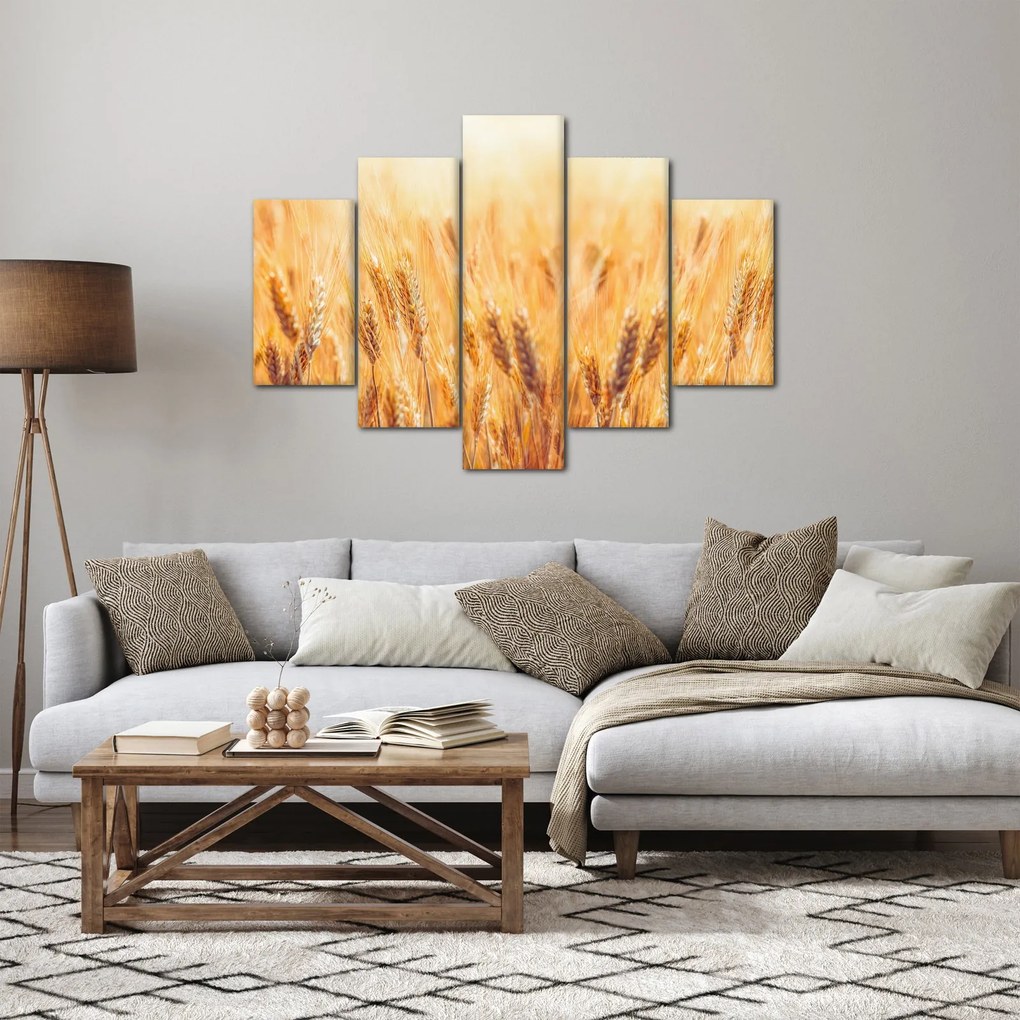 Obraz - pole s obilím (150x105 cm)