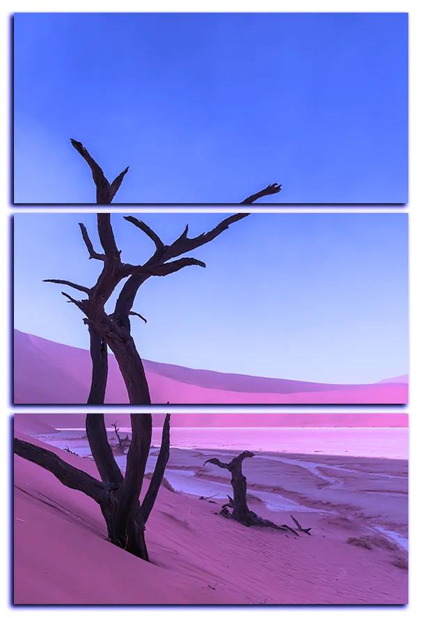 Obraz na plátne - Mŕtvy strom v dunach - obdĺžnik 7130FB (105x70 cm)