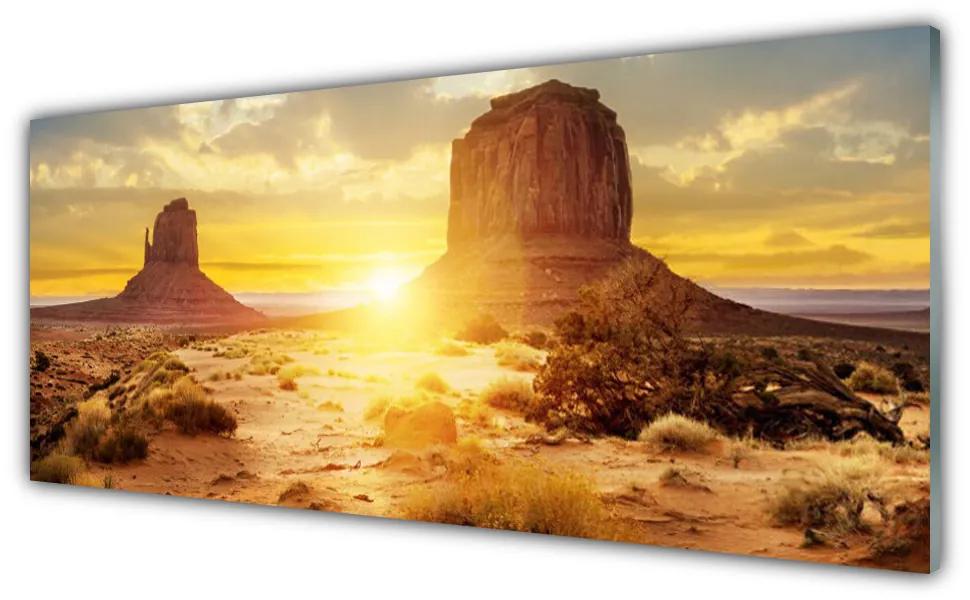 Obraz na akrylátovom skle Púšť slnko krajina 125x50 cm