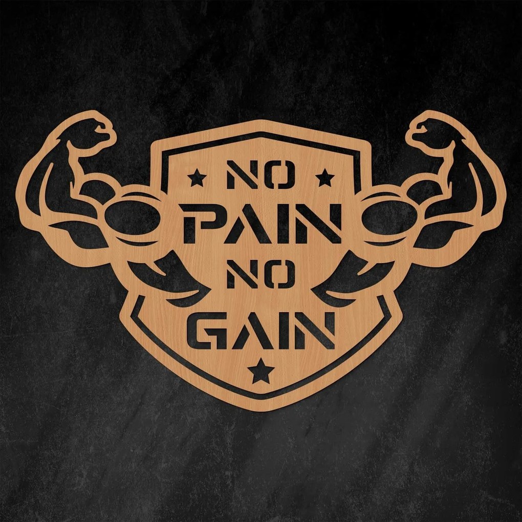 DUBLEZ | Motivačný obraz - No Pain No Gain