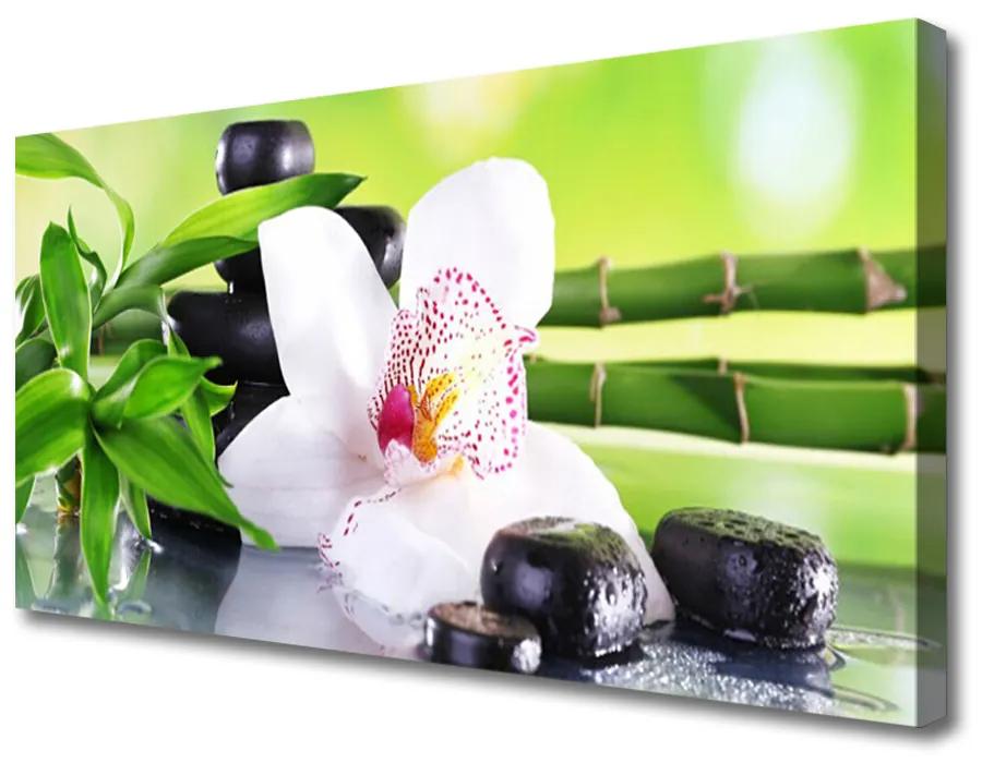 Obraz Canvas Orchidea kamene zen bambus 120x60 cm