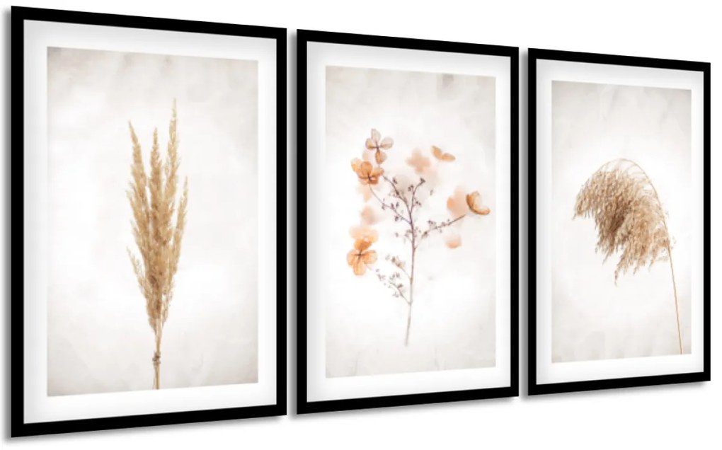 Gario Sada plagátov Dry nature - 3 dielna Farba rámu: Bez rámu, Rozmery: 99 x 45 cm