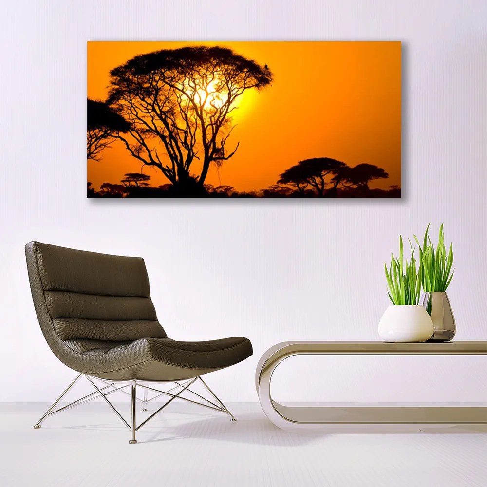 Obraz na akrylátovom skle Strom slnko príroda 120x60 cm